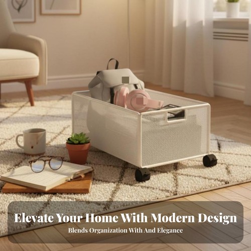 Wheeled literature container