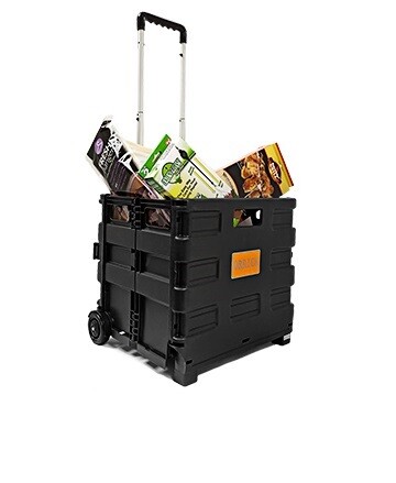 Large folding teacher school - large,